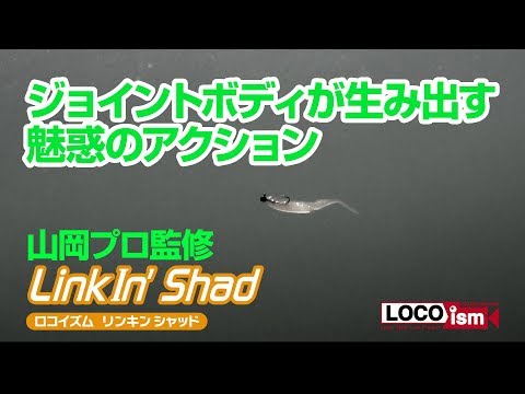 Tiemco Linkin' Shad 3" Softbait Pintail
