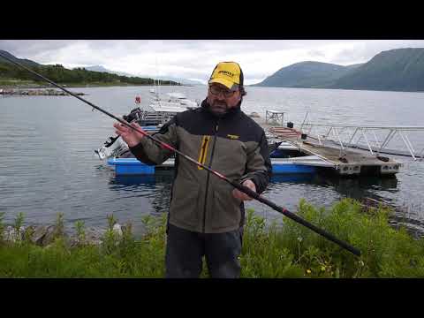 Sportex Magnus Travel Spin Spinning Rod
