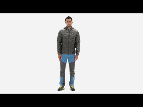 Patagonia Micro Puff Hoody FRE