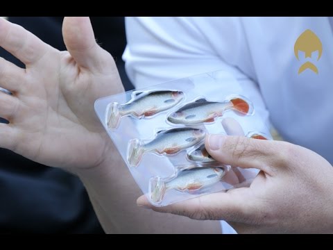 Westin Ricky the Roach Shadtail 7 cm Set of 2