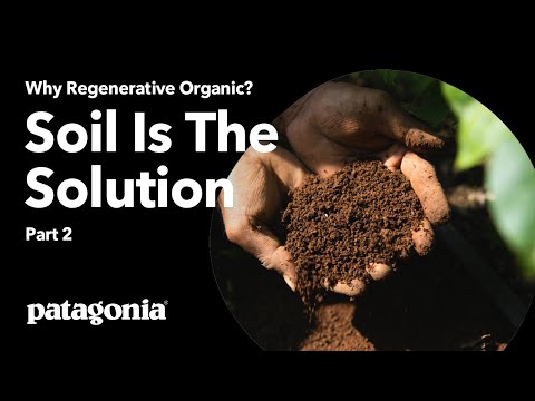 Patagonia Regenerative Organic Certified Cotton Crewneck Sweatshirt NGRY