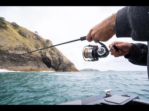 Daiwa Certate-G LT Spinning Reel