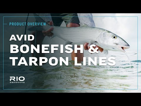 Rio Avid Tarpon Floating Fly Line