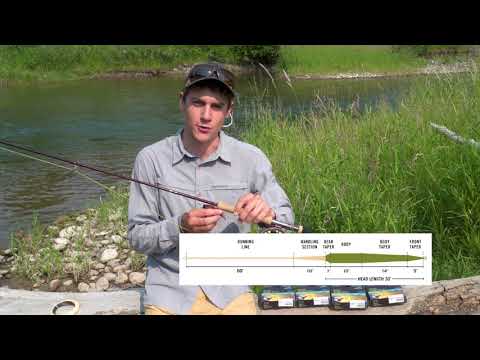 Rio DirectCore Jungle Fly Line Floating/Sink6