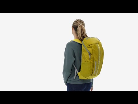 Patagonia Black Hole Pack 25L Backpack BSNG - Basin Green
