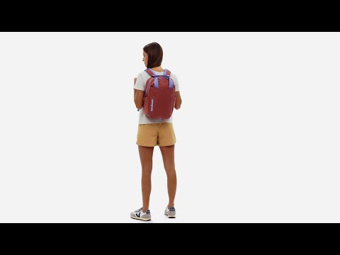 Patagonia Atom Tote Pack 20L LNGR