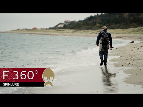 Westin F360° 20 g