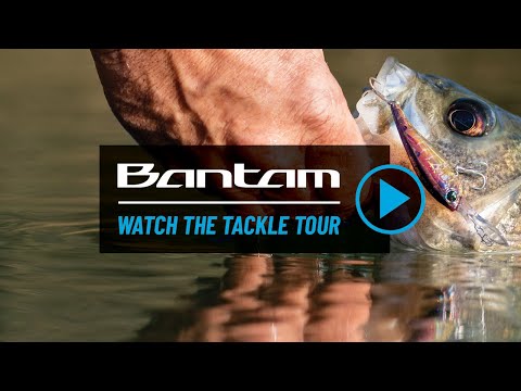 Shimano Bantam BT Sraptor Swimbait