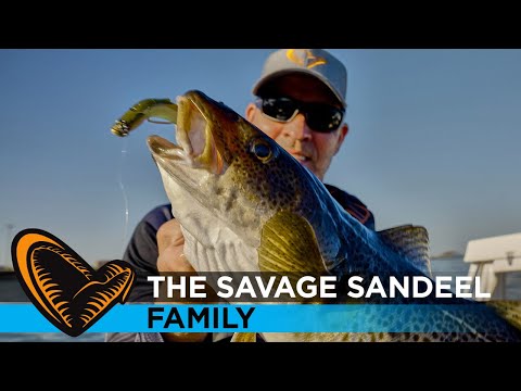 Savage Gear Sandeel Softbait 11,5 cm 22 g