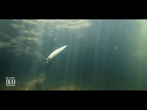 Duo Realis Jerkbait 120SP
