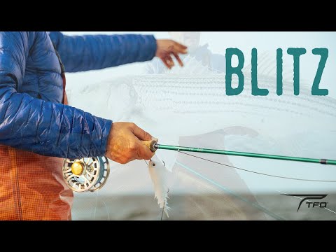 TFO Blitz Saltwater Fliy Rod