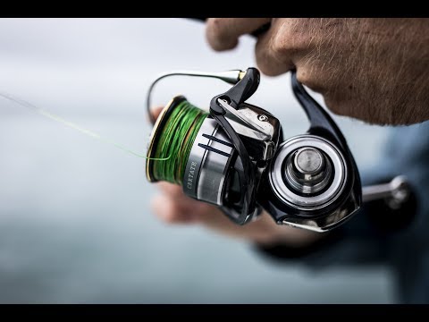 Daiwa Certate-G LT Spinning Reel