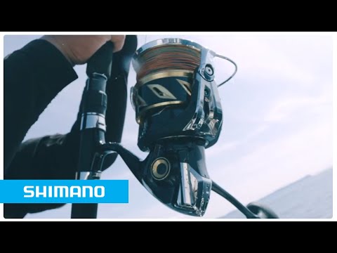 Shimano Stella SW Saltwater Spinning Reel