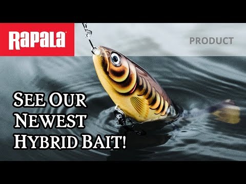 Rapala X-Rap Peto 20 cm
