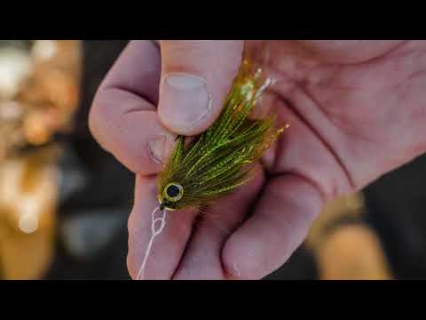 Guideline Streamer - Swim Coach Baby Craven gray