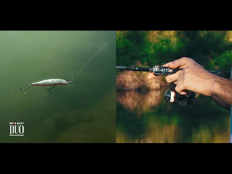 Duo Realis Jerkbait 100SP
