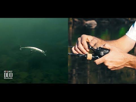 Duo Spearhead Ryuki 110S