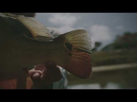 13 Fishing Origin R1 LH Baitcasting Reel